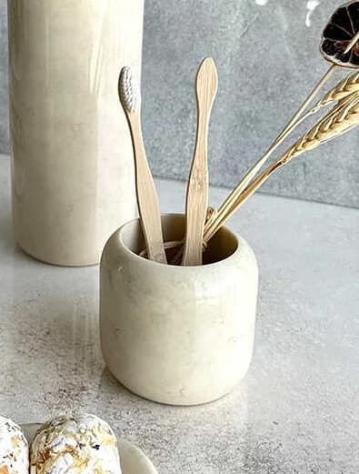 علبة فراشي اسنان FYORT 2