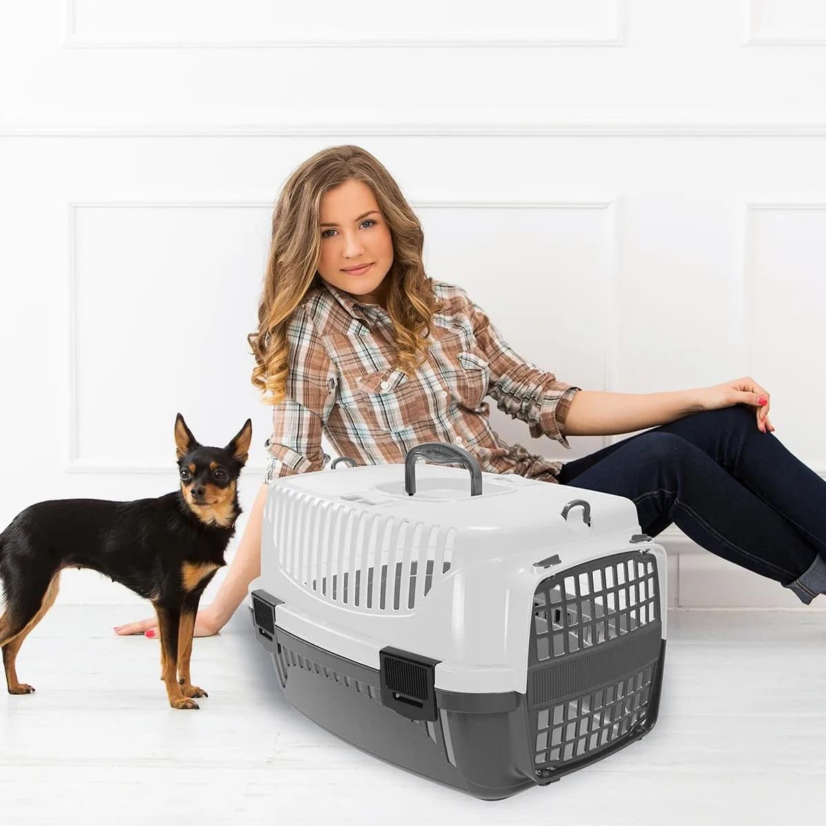 plastic pet basket حجم كبير 4