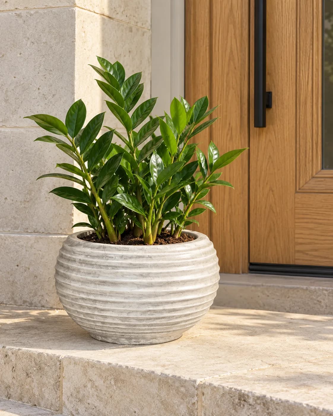 Rasin POT 40.5 CM جرة