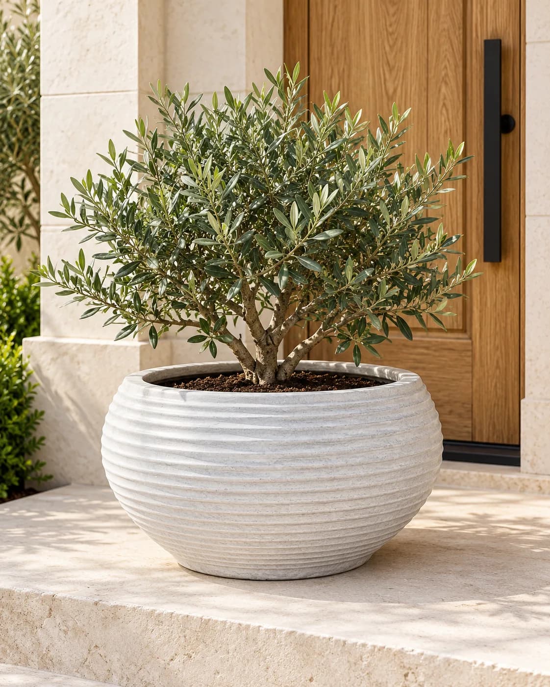 جرة Rasin POT 70 CM