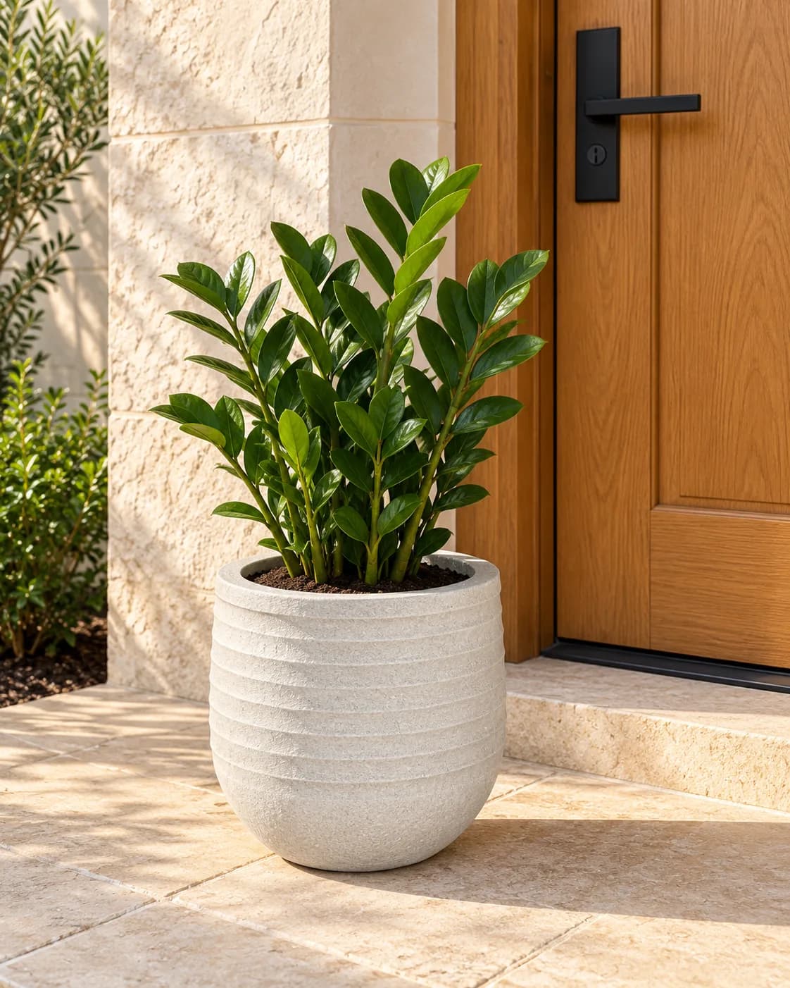 Rasin POT 30 CM