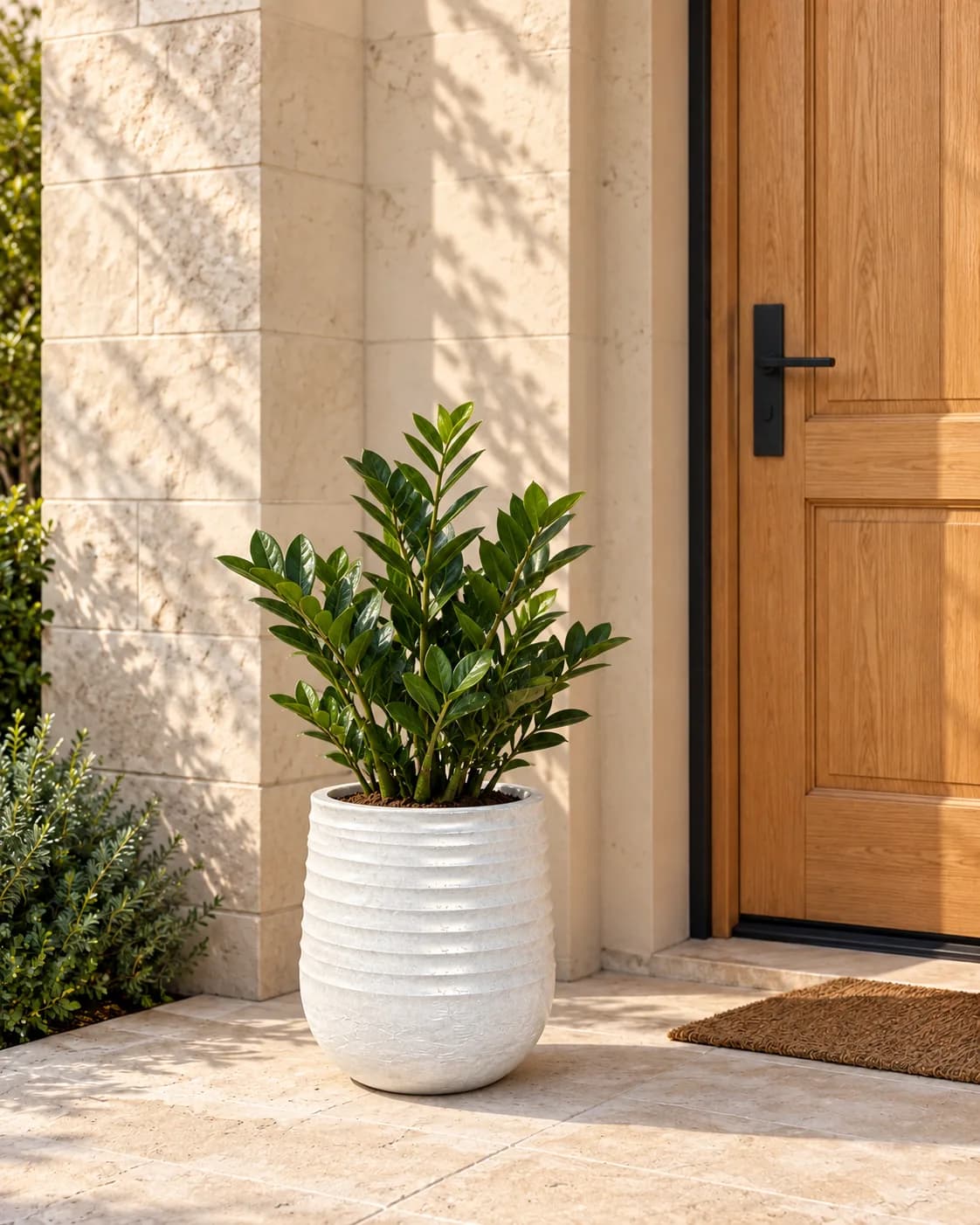 طويل Rasin POT 28 CM
