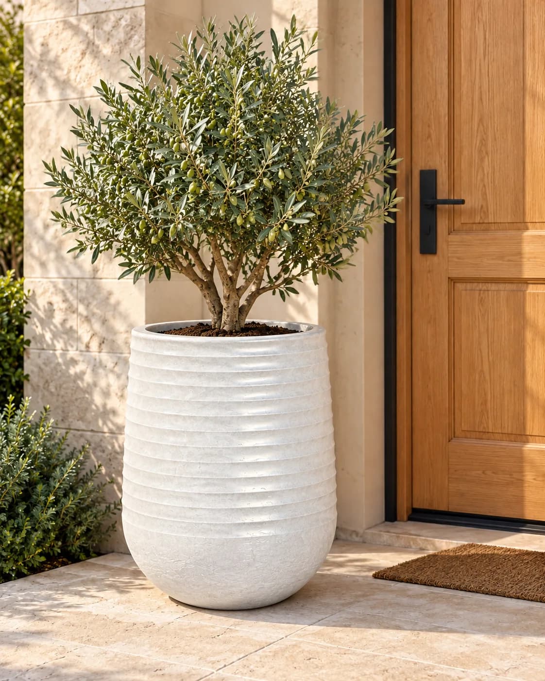 طويل Rasin POT 53 CM